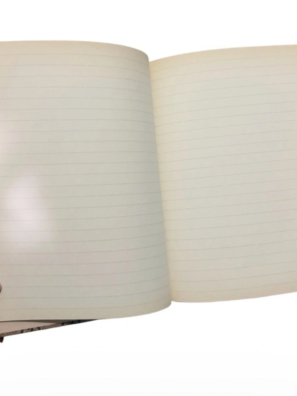 Gucci Beige Monogram Notebook with Colorful Planet and Floral Patches